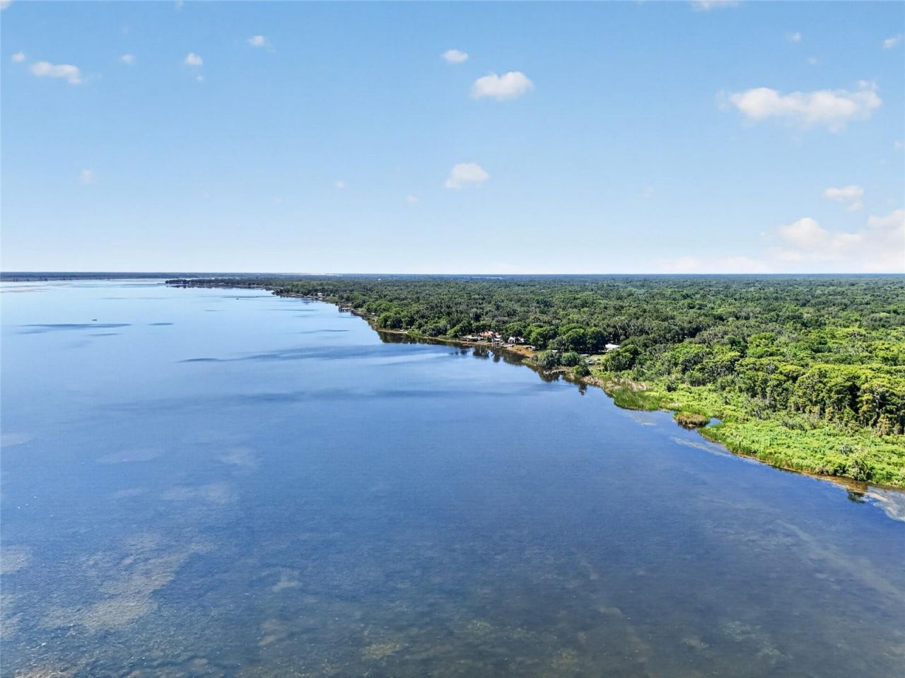 4136 Cr 400 , Lake Panasoffkee, FL 33538 Photo