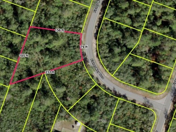 FISHER WAY TRACK, OCKLAWAHA, FL 32179