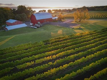 6800 State Route 89, Ovid, NY 14521