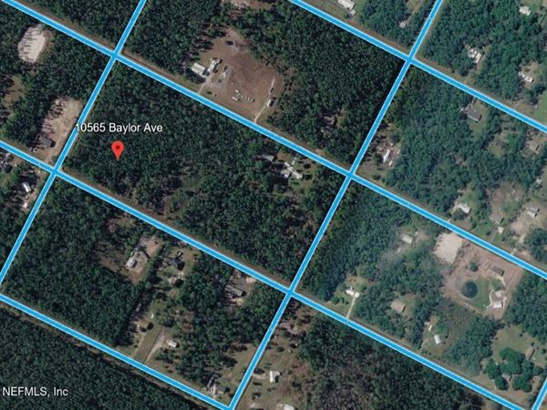 10565 BAYLOR Avenue, Hastings, FL 32145