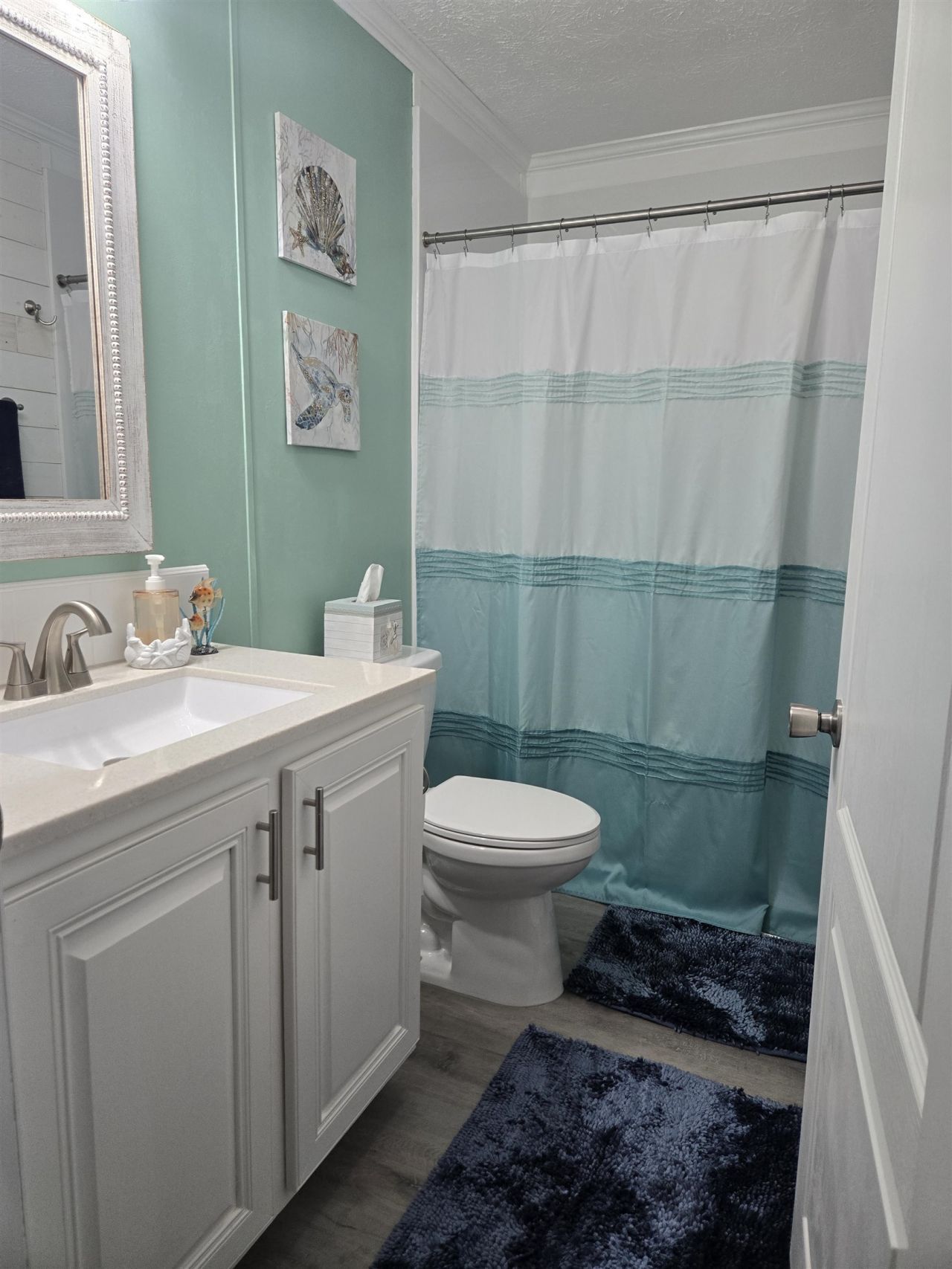 457 E Banks Dr. Photo 55