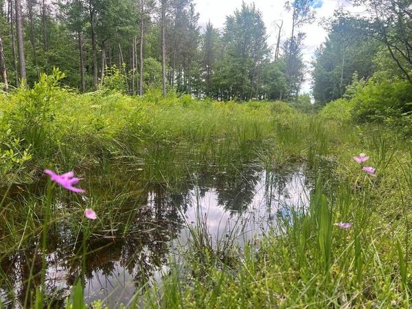 0 Old 54 Highway, Pittsville, WI 54466
