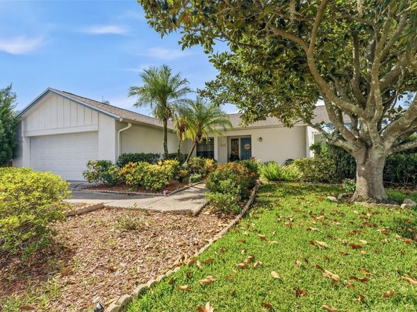 4002 PEBBLESTONE PLACE , TAMPA, FL 33624