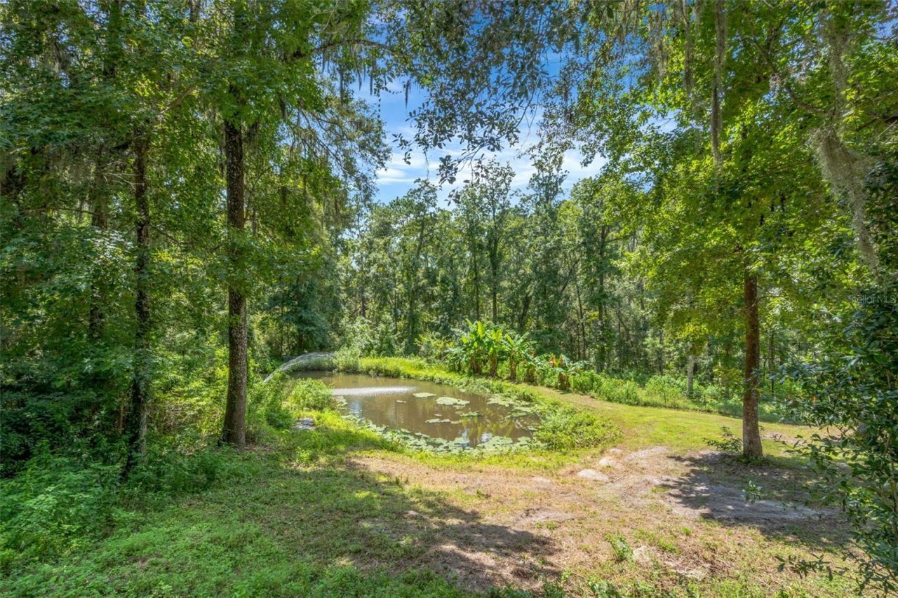 4243 Nancy Creek Boulevard, Brooksville, FL 34602 Photo