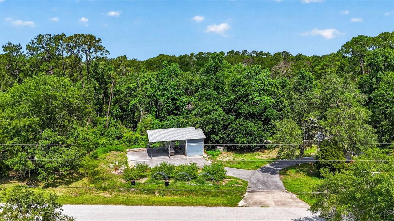 4243 Nancy Creek Boulevard, Brooksville, FL 34602 Photo