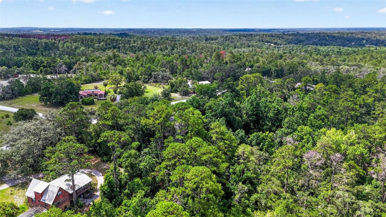 4243 Nancy Creek Boulevard, Brooksville, FL 34602 Photo