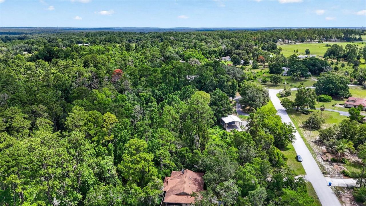 4243 Nancy Creek Boulevard, Brooksville, FL 34602 Photo