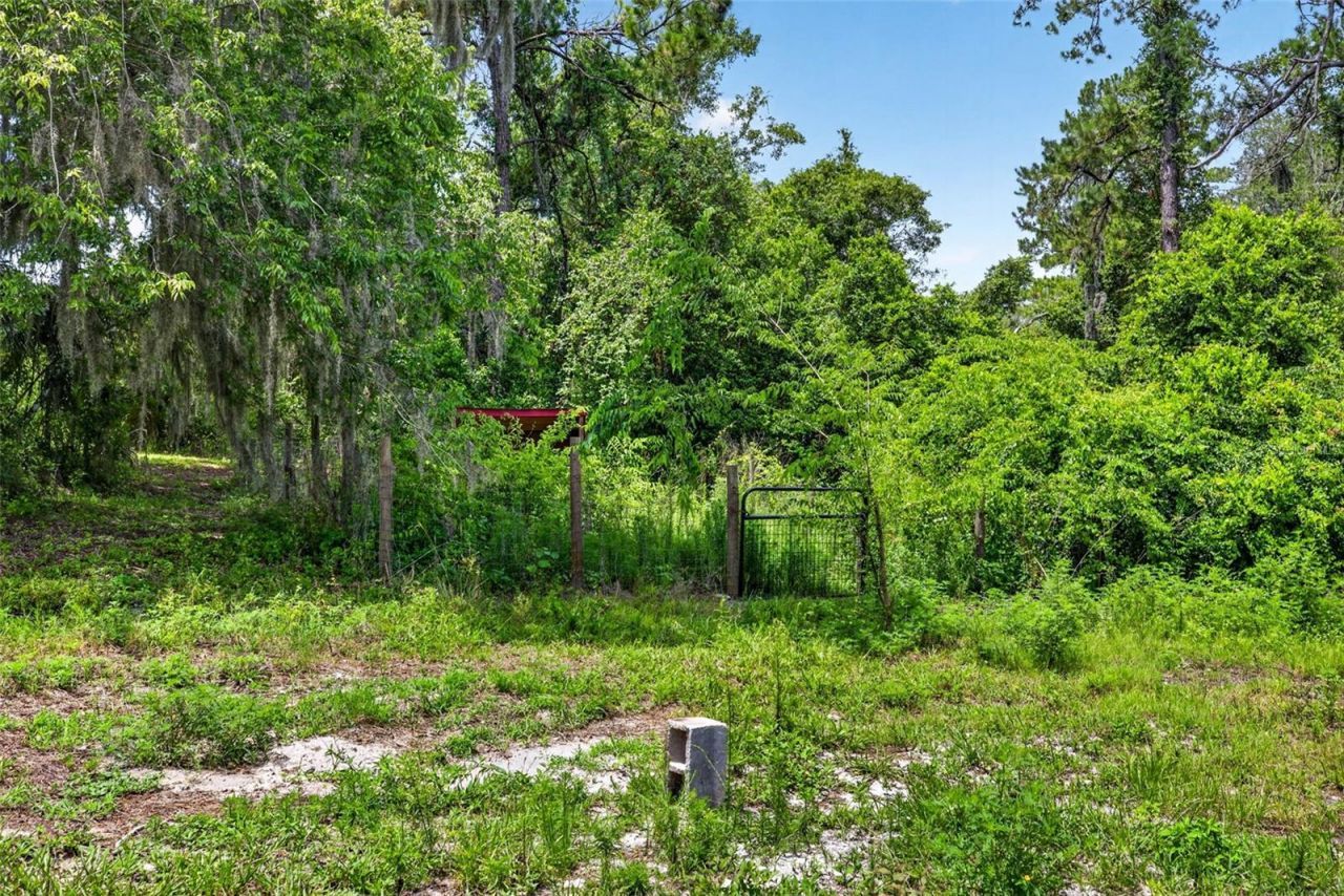 4243 Nancy Creek Boulevard, Brooksville, FL 34602 Photo