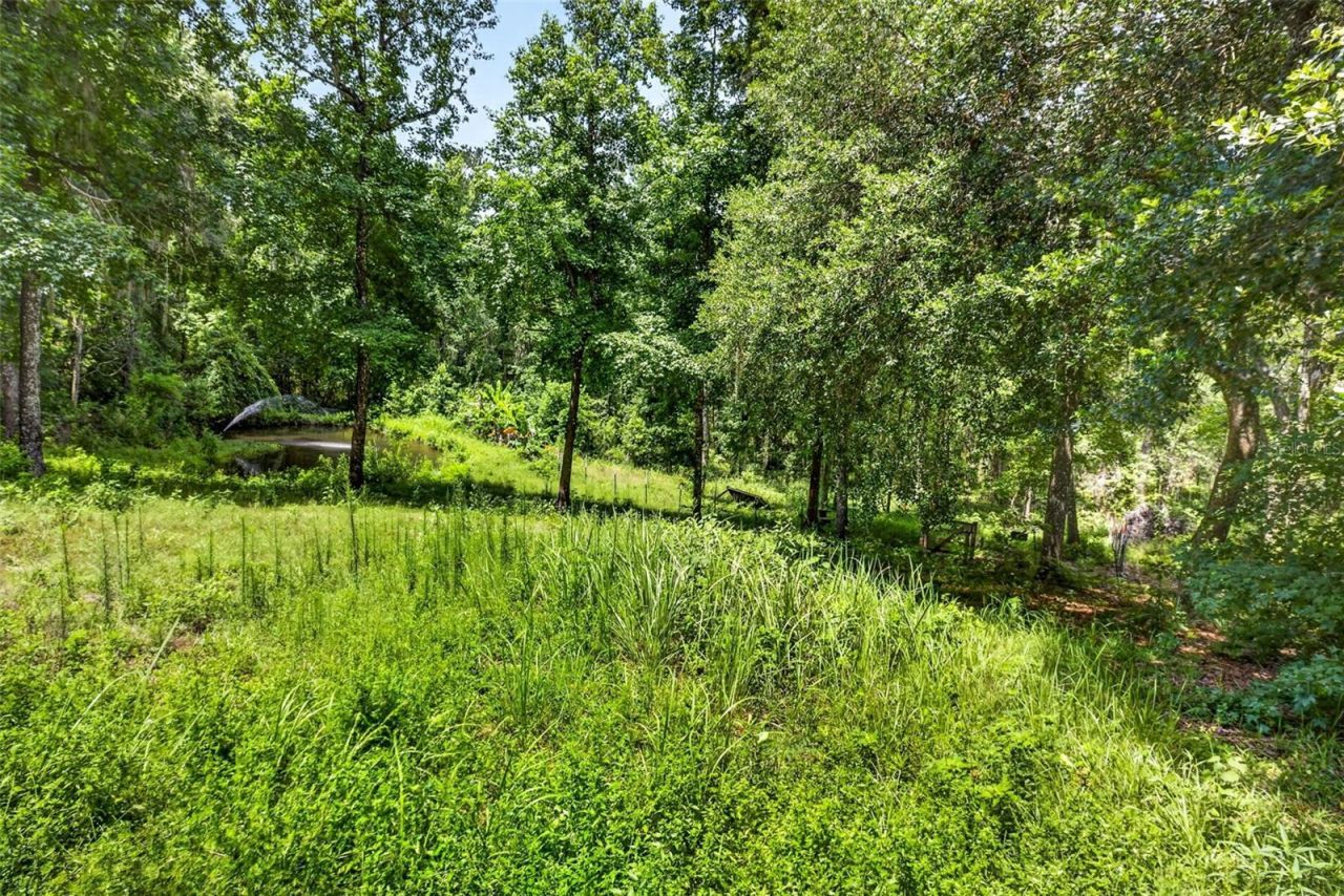 4243 Nancy Creek Boulevard, Brooksville, FL 34602 Photo