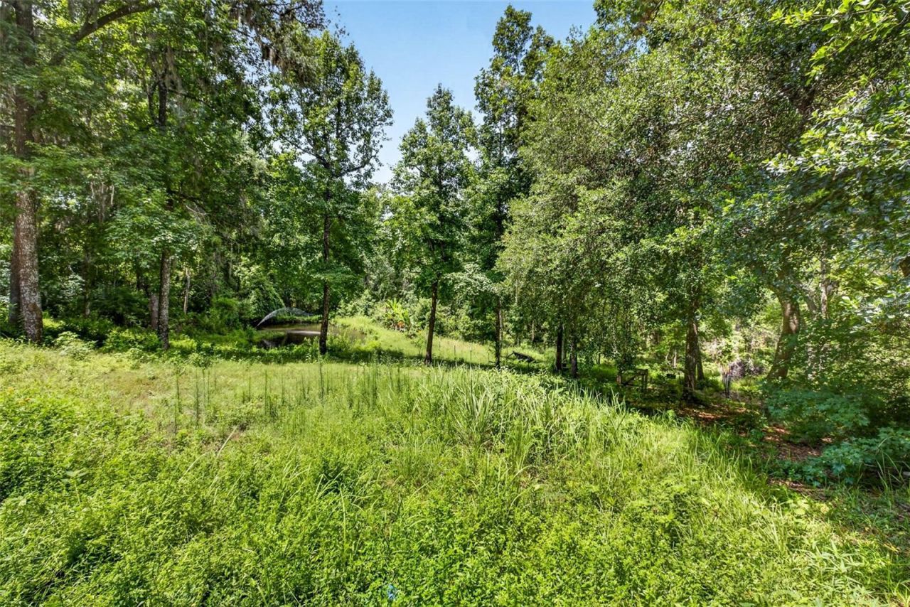4243 Nancy Creek Boulevard, Brooksville, FL 34602 Photo
