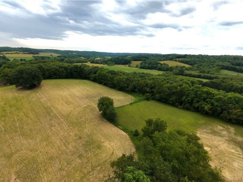 County Road 150, Millersburg, OH 44654 Photo 4