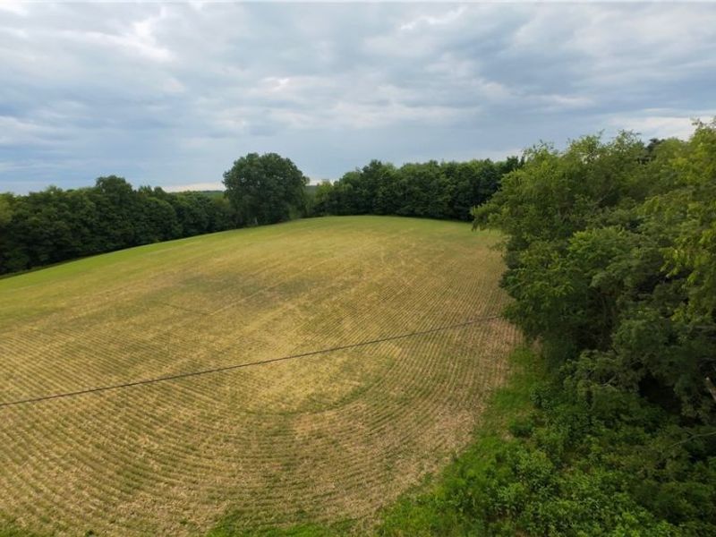 County Road 150, Millersburg, OH 44654 Photo 5