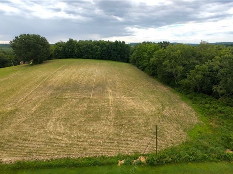 County Road 150, Millersburg, OH 44654 Photo 6