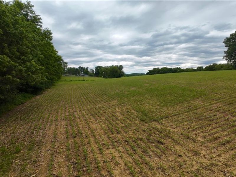 County Road 150, Millersburg, OH 44654 Photo 8