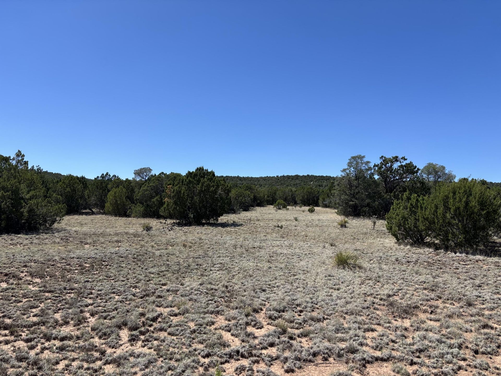 Dos Lunas Drive, Tajique, NM 87016 Main Photo