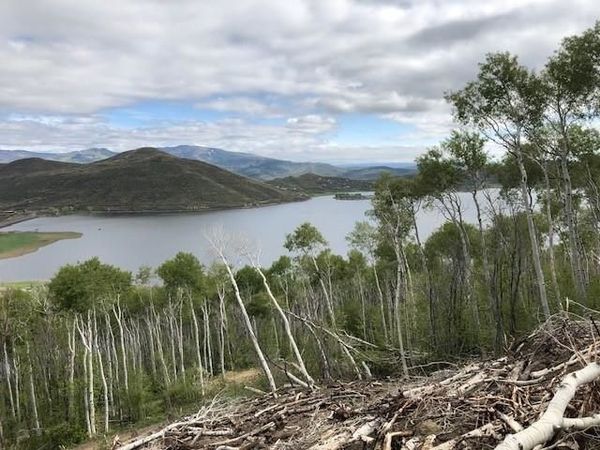 Tbd Overlook Drive , Collbran, CO 81624
