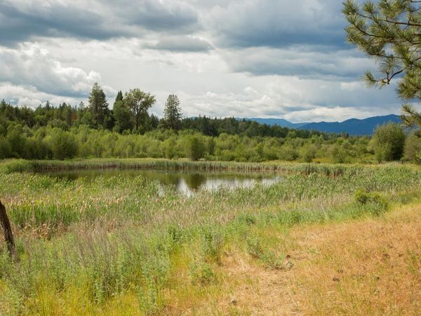 4110 Cemetery Tract AB Rd, Springdale, WA 99137