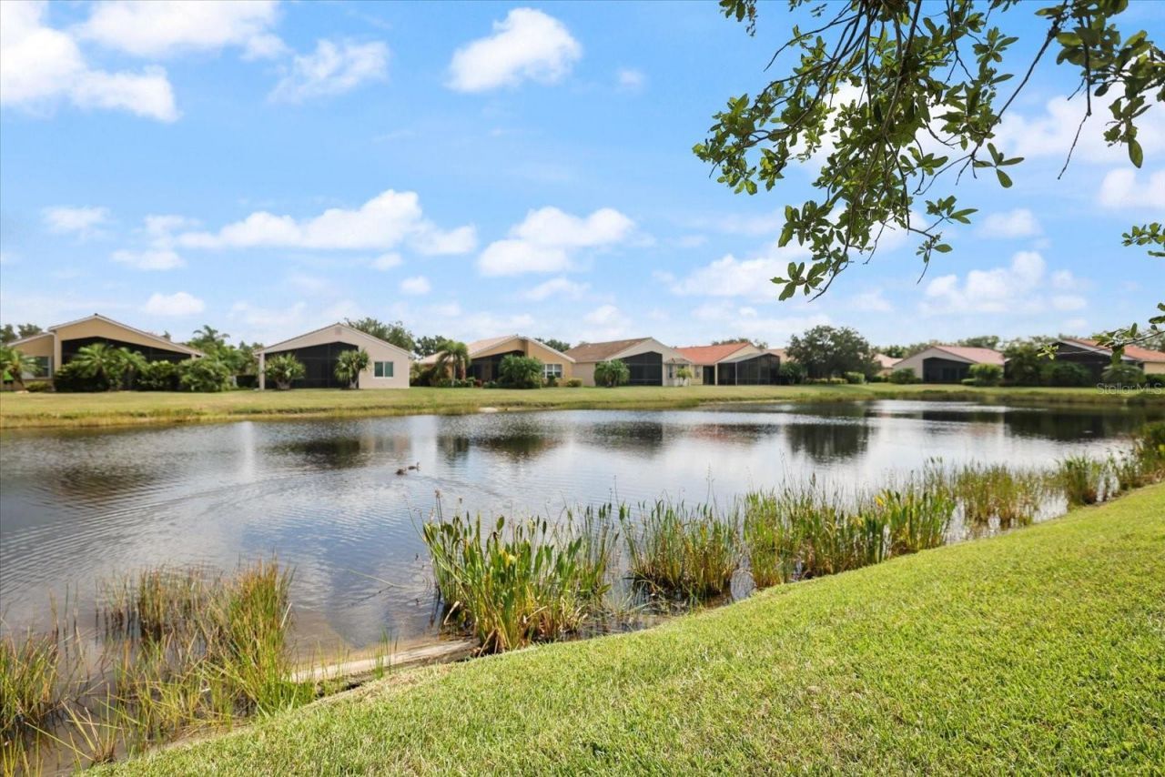4211 64th Avenue E, Sarasota, FL 34243 Photo