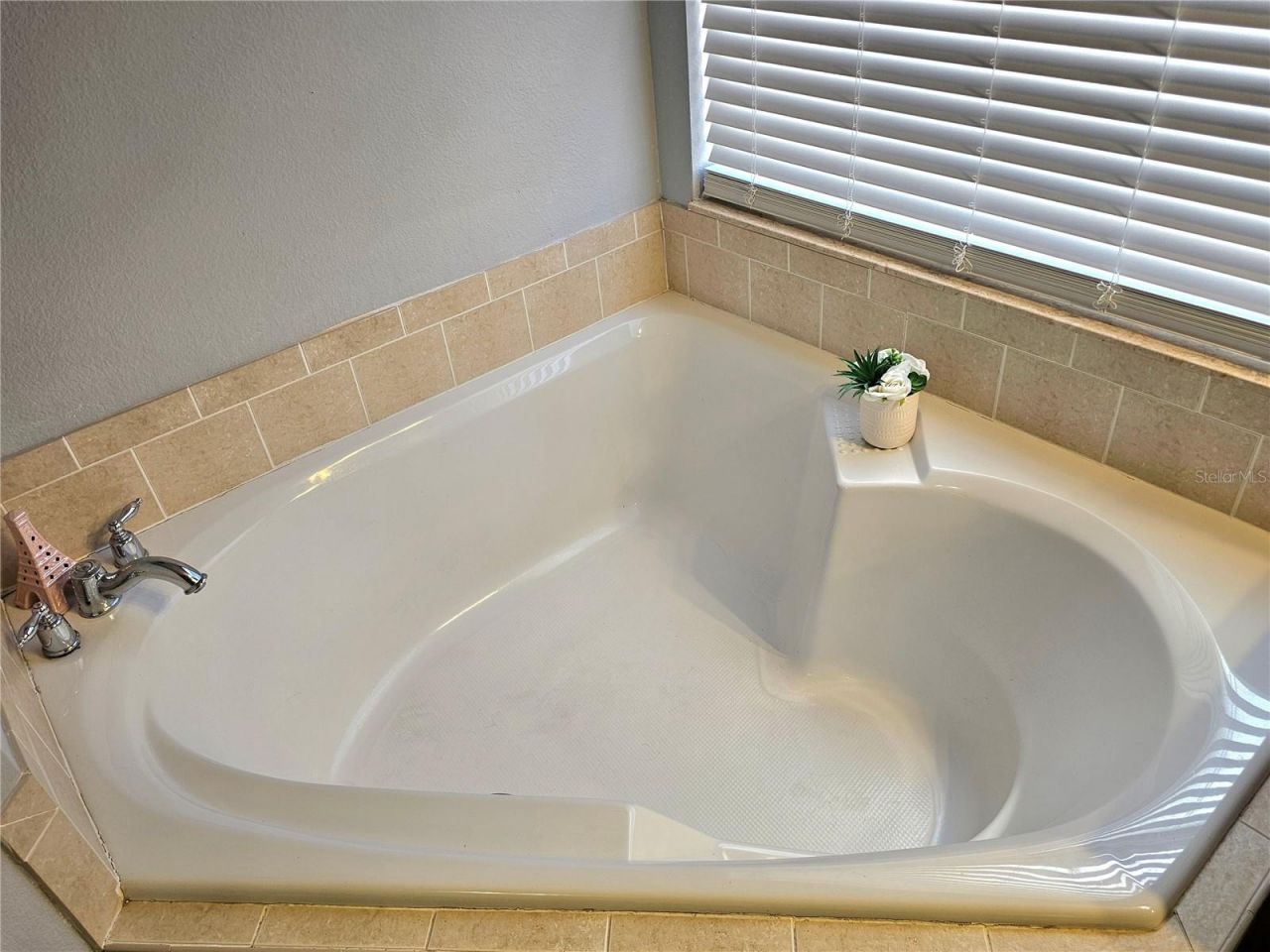 34224 Shadewood Circle, Leesburg, FL 34788 Photo