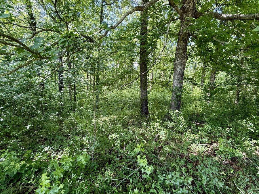 Property Image 50