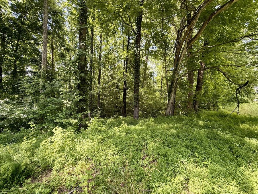Property Image 52