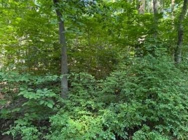 0 LOT 413 EASY HOLLOW ROAD, Unit LOT 413, FRONT ROYAL, VA 22630