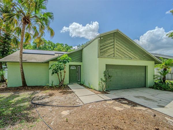 18425 SWAN LAKE DRIVE, LUTZ, FL 33549