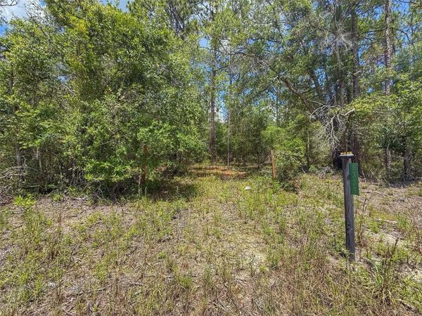 6339 NW 17TH COURT , BELL, FL 32619