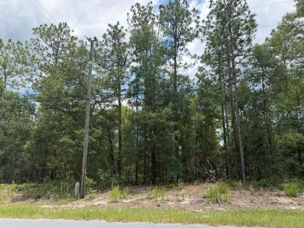 1982 W ROSEBORO DRIVE , DUNNELLON, FL 34434