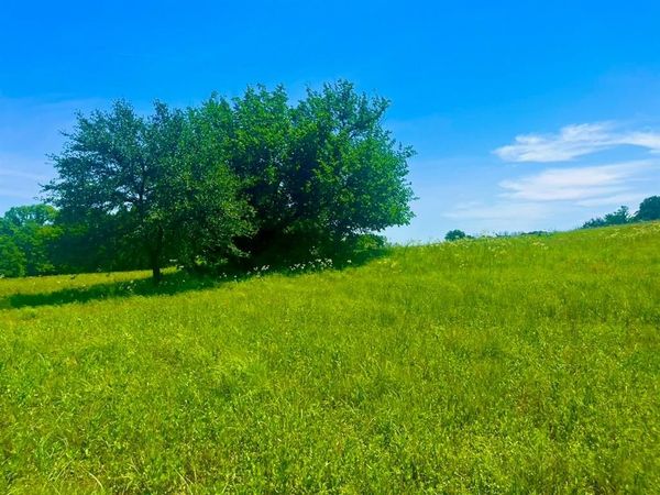 Lot 102 Arlow Road , Poolville, TX 76487