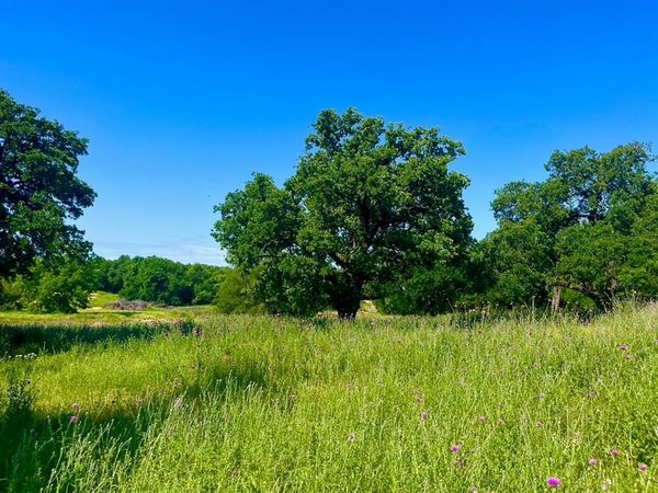 Lot 75 Kilkenny Road , Poolville, TX 76487