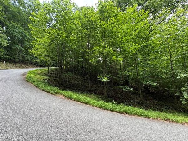 Lot 19 Mill Ridge Rd , Hiawassee, GA 30546