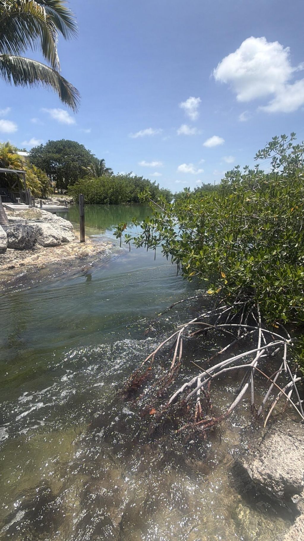 1 Blue Water Drive, Saddle Bunch, FL 33040 Photo