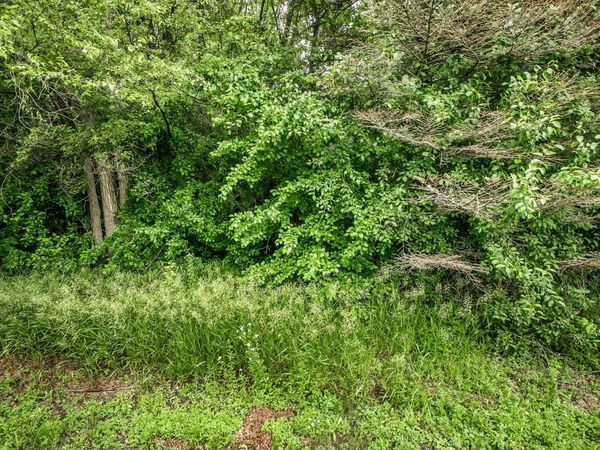 TBD Blackheath Drive , Saint Cloud, MN 56301