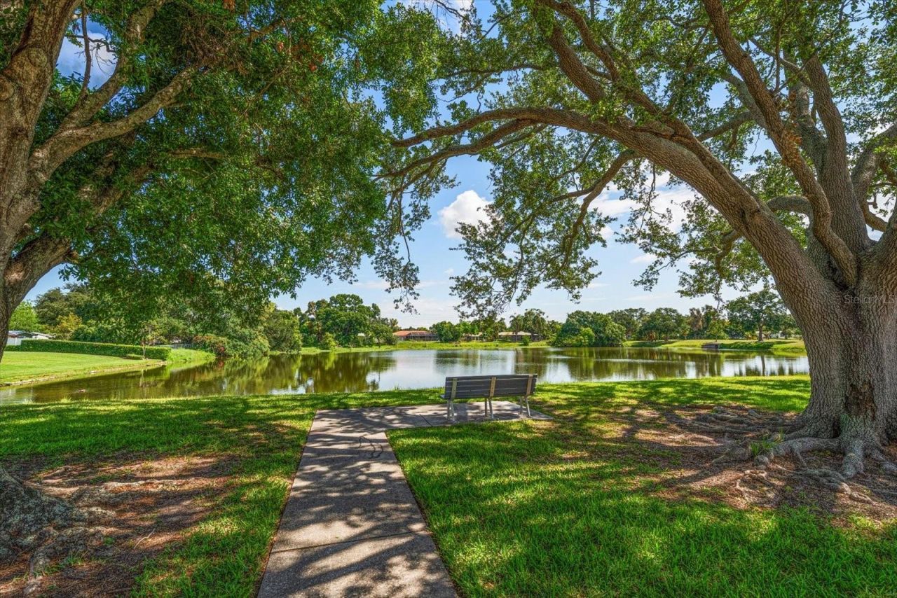 4390 20th Avenue N, Saint Petersburg, FL 33713 Photo