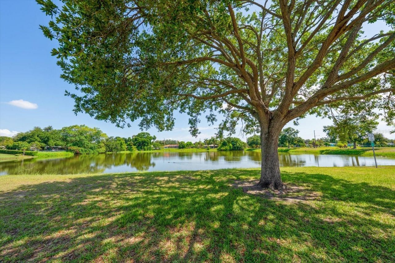 4390 20th Avenue N, Saint Petersburg, FL 33713 Photo