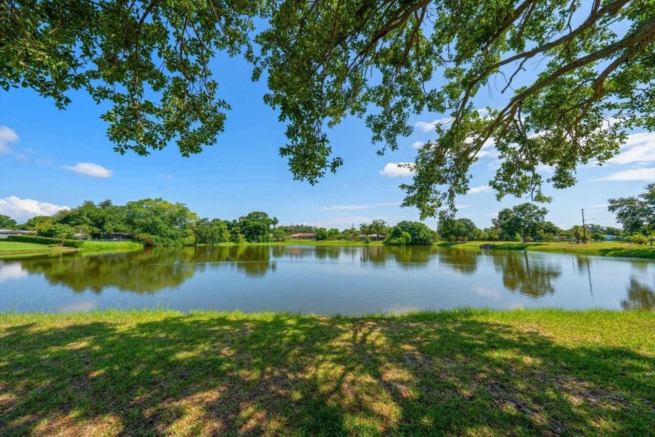 4390 20th Avenue N, Saint Petersburg, FL 33713 Photo
