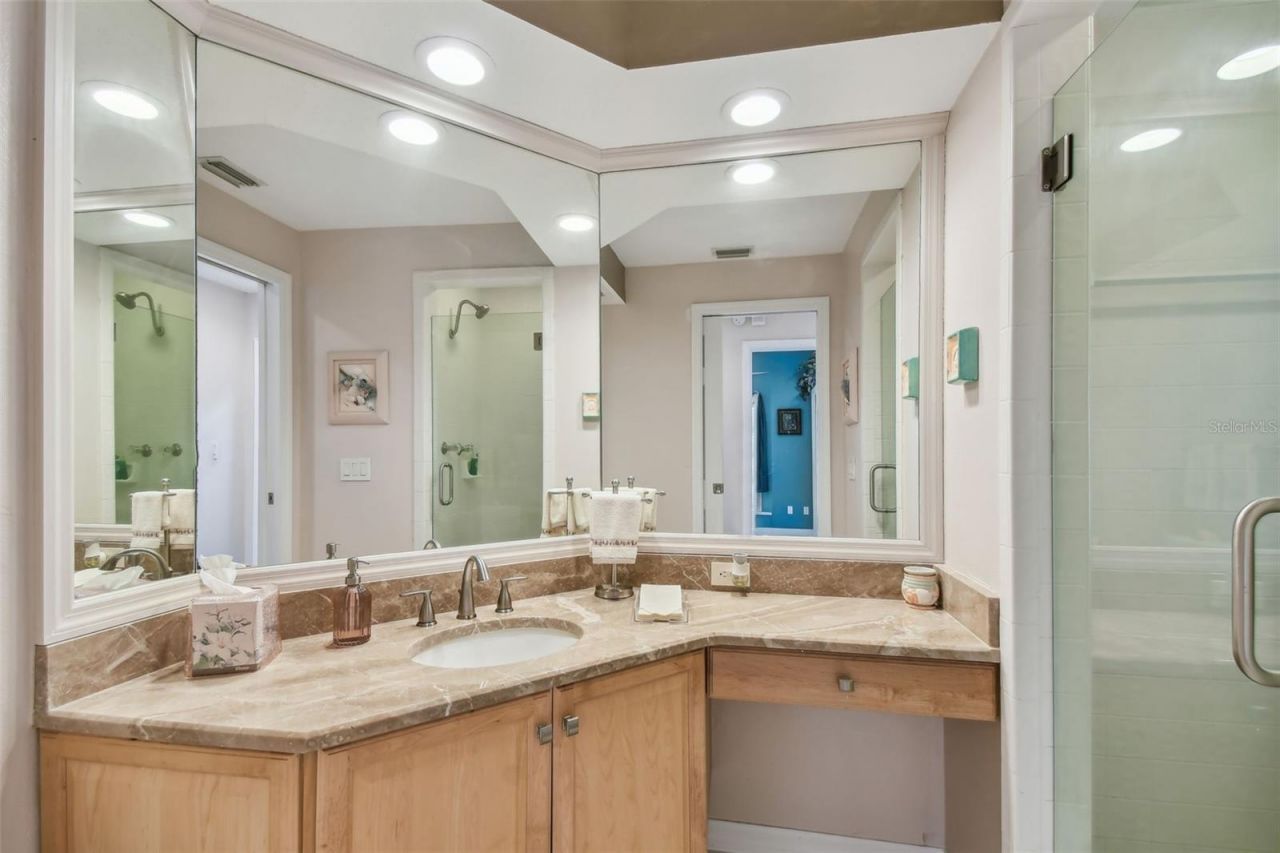 119 Carlyle Circle, Palm Harbor, FL 34683 Photo