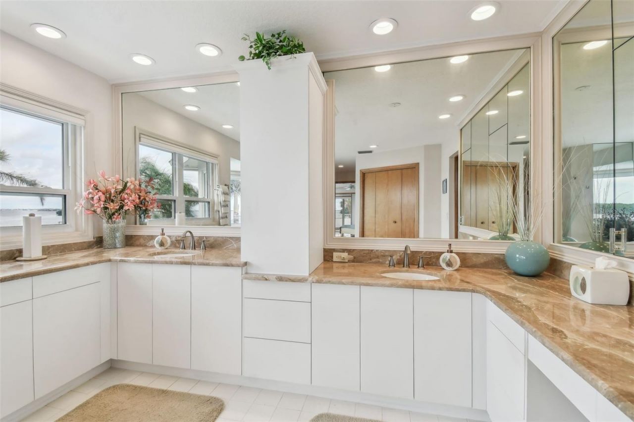 119 Carlyle Circle, Palm Harbor, FL 34683 Photo