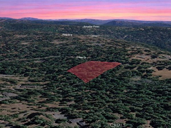 19187 Creek Drive, Pioneer, CA 95666
