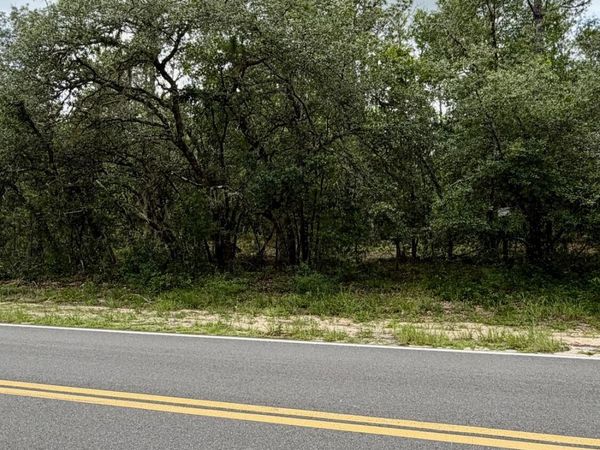 701 COUSINTOWN Road, Interlachen, FL 32148