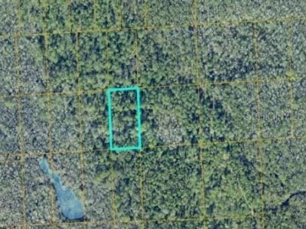 NO STREET , LAKE HELEN, FL 32744