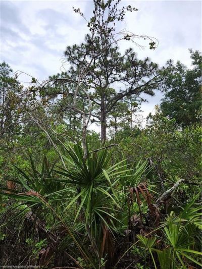 17470 County Road 731 , Venus, FL 33960 Photo