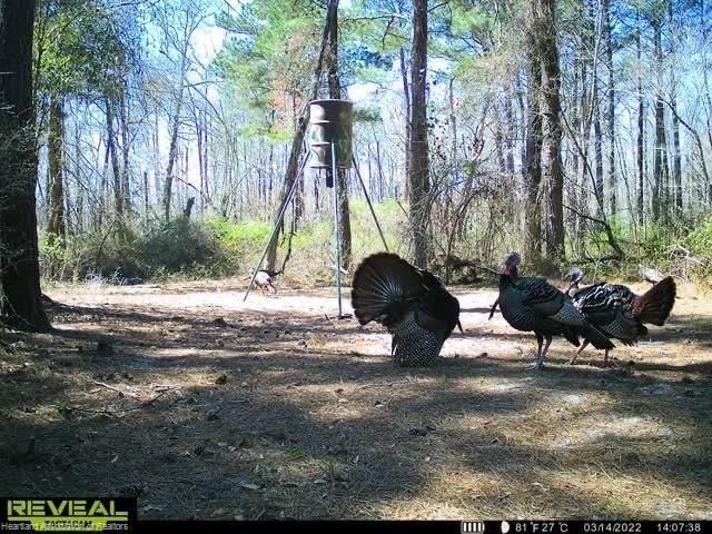 17470 County Road 731 , Venus, FL 33960 Photo