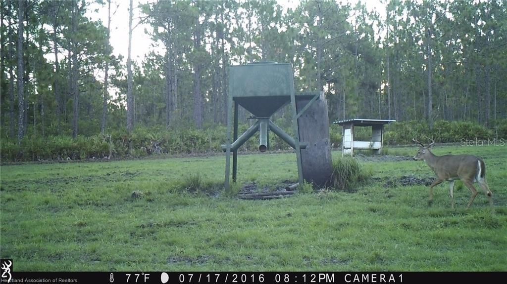 17470 County Road 731 , Venus, FL 33960 Photo