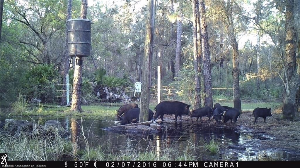 17470 County Road 731 , Venus, FL 33960 Photo
