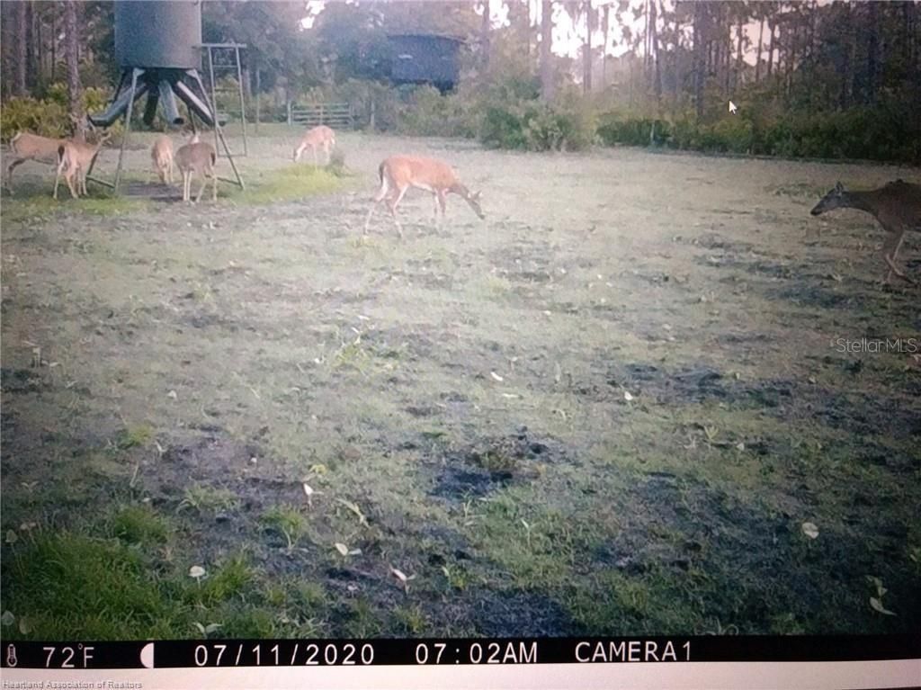 17470 County Road 731 , Venus, FL 33960 Photo