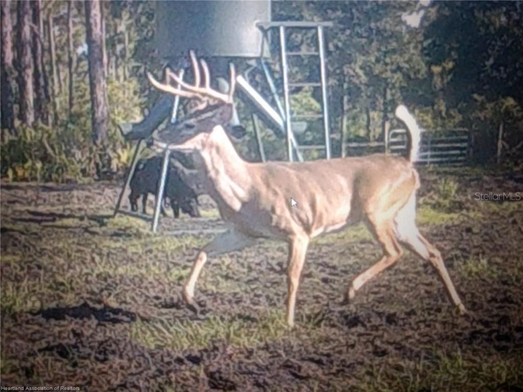 17470 County Road 731 , Venus, FL 33960 Photo