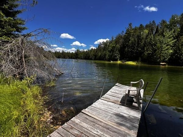 14703 E Shoreline Drive, Wolverine, MI 49799