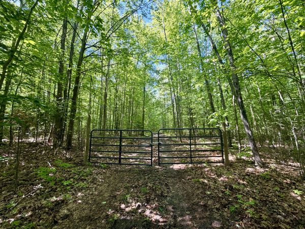 10.06 ac Jones Road, Glennie, MI 48737